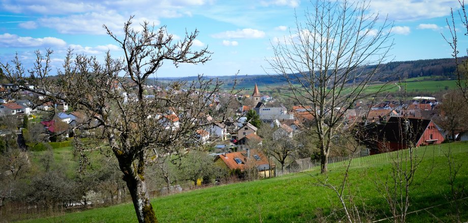 Blick auf Simmozheim mit Baumwiese im Vordergrund Blick auf Simmozheim mit Baumwiese im Vordergrund