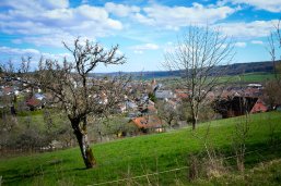 Blick auf Simmozheim mit Baumwiese im Vordergrund